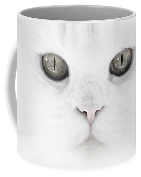 Cat Coffee Mug featuring the photograph The Face of a Gray Eyed Cat by Mitch Spence