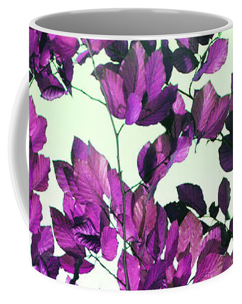 Purple Coffee Mug featuring the photograph The Fall - Intense Fuchsia by Rebecca Harman