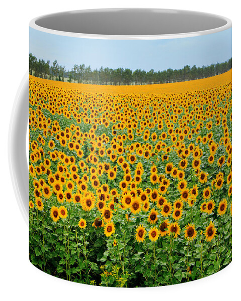 Sunflower Coffee Mug featuring the photograph The Field of Suns by Victor Kovchin