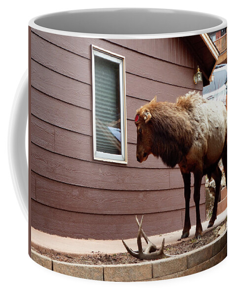 Antler Coffee Mug featuring the photograph The Final Drop by Roger Bechler