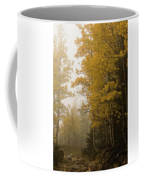 Fall Coffee Mug featuring the photograph The foggy trail beckons by Alan Vance Ley