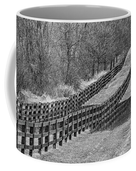 Steve Harrington Coffee Mug featuring the photograph The Geometry Of Spring 2 bw by Steve Harrington