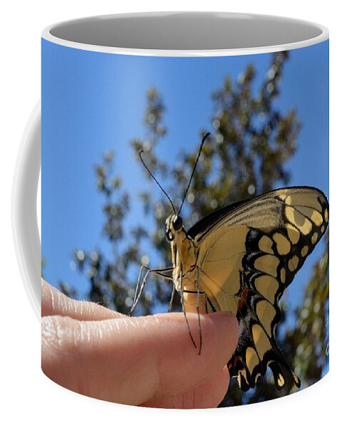 Butterfly Coffee Mug featuring the photograph The Glorious Swallowtail by Leah McPhail