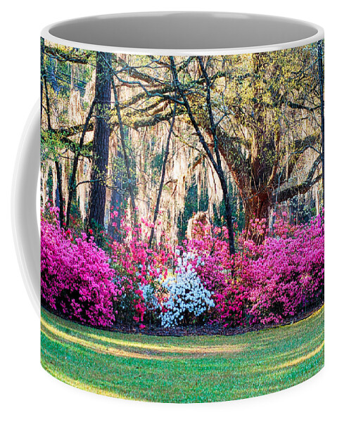 Azaleas Coffee Mug featuring the photograph The Glory of Spring by Linda Brown