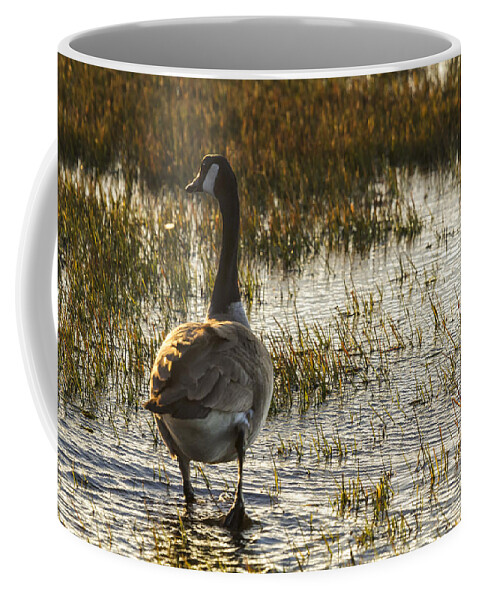 Goose Coffee Mug featuring the photograph The Golden Goose by Belinda Greb