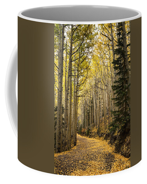 Fall Coffee Mug featuring the photograph The Golden Path by Saija Lehtonen