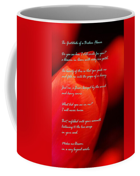 Flowers Coffee Mug featuring the photograph The Gratitude Of A Broken Flower by Jeff Swan