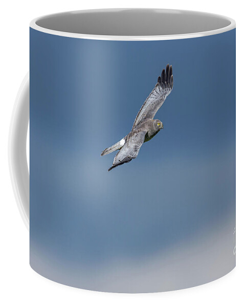 Male Coffee Mug featuring the photograph The Gray Ghost by Craig Leaper