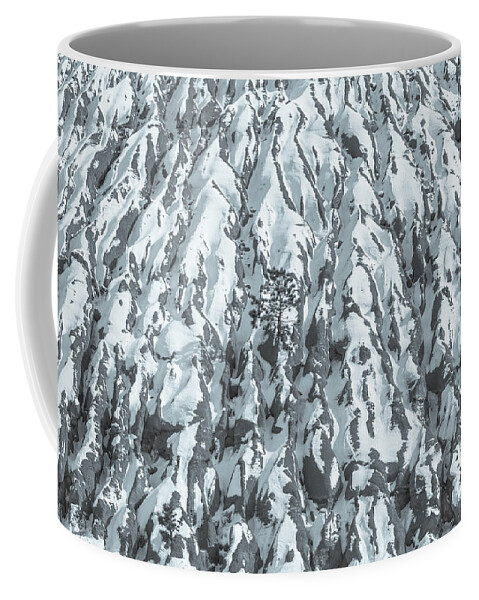 Winter Wonderland Coffee Mug featuring the photograph The Greek God Ophion Is The Ruler Of The Earth. by Bijan Pirnia