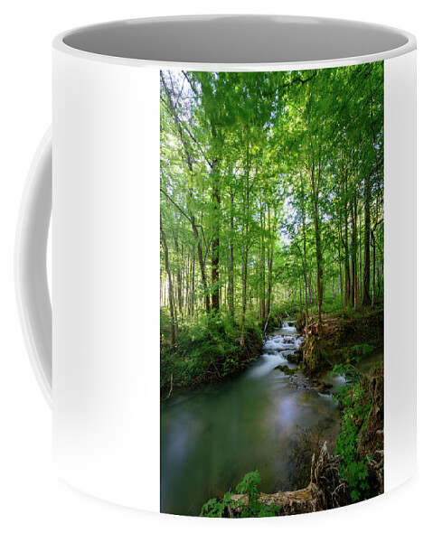 Falling Springs Falls Coffee Mug featuring the photograph The Green Forest by Michael Scott