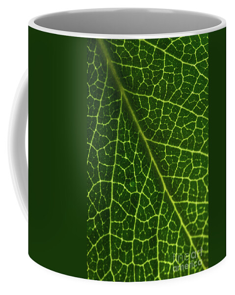 Leaf Coffee Mug featuring the photograph The Green Network by Ana V Ramirez