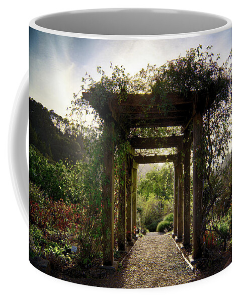 Sunrise Coffee Mug featuring the photograph The Grove by Digiblocks Photography