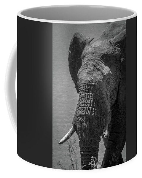 Africa Coffee Mug featuring the photograph The Guardian by James Capo