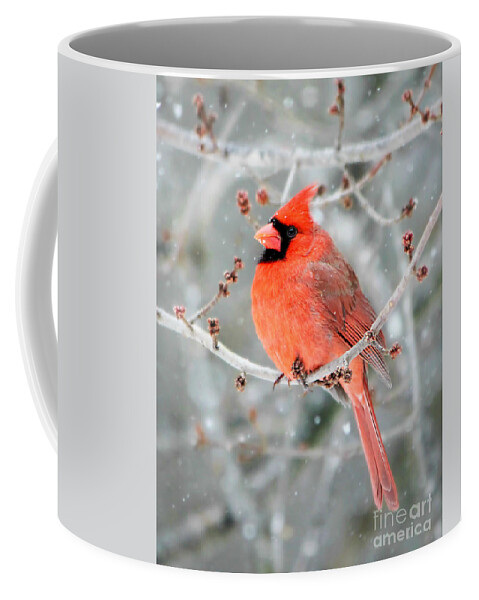 Northern Cardinal Coffee Mug featuring the photograph The Guardian by Tina LeCour