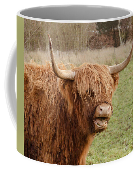 Highland Cow Coffee Mug featuring the photograph The Happy Highlander by Linsey Williams