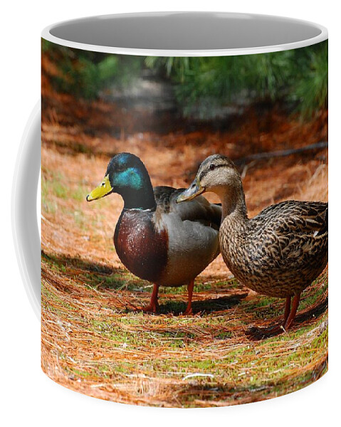 Mallard Ducks Coffee Mug featuring the photograph The Honeymooners - Mallard Ducks by Angie Tirado