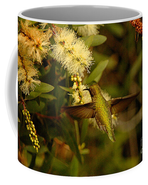 Hummingbird Coffee Mug featuring the photograph The Hummingbird by Marc Bittan
