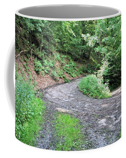 3939 Coffee Mug featuring the photograph The Kall Trail by Gordon Elwell