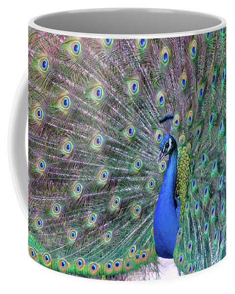 Peacock Coffee Mug featuring the photograph The Ladies Man by Mimi Ditchie