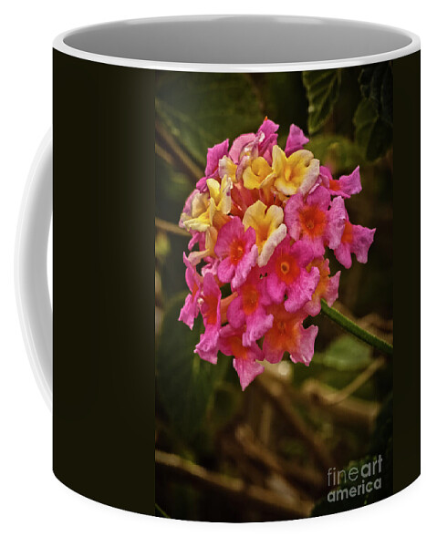 Garden Coffee Mug featuring the photograph The Lantana by Robert Bales