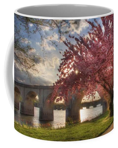 Tree Coffee Mug featuring the photograph The Last Glimmer by Lori Deiter