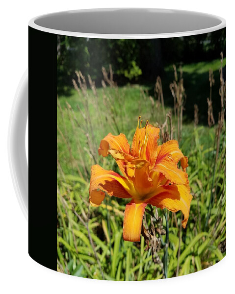 Lilly Coffee Mug featuring the photograph The Last Lilly by Vic Ritchey