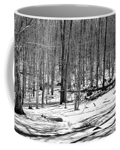 The Last Snow On The Maple Ridge Trail Coffee Mug featuring the photograph The Last Snow on the Maple Ridge Trail by David Patterson