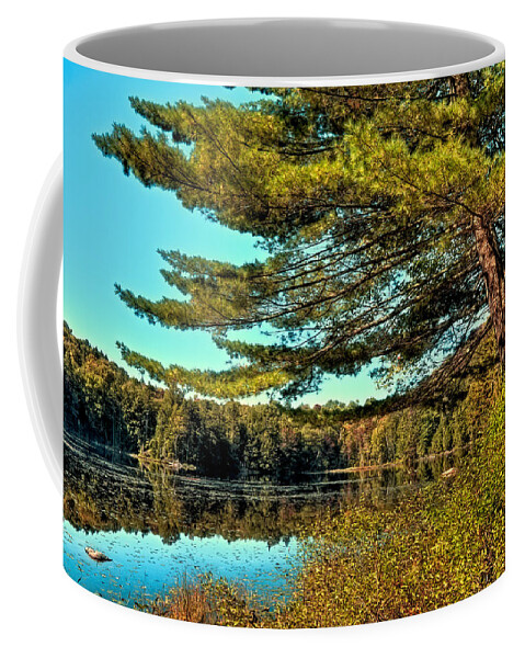 The Little Known Cary Lake Coffee Mug featuring the photograph The Little Known Cary Lake by David Patterson
