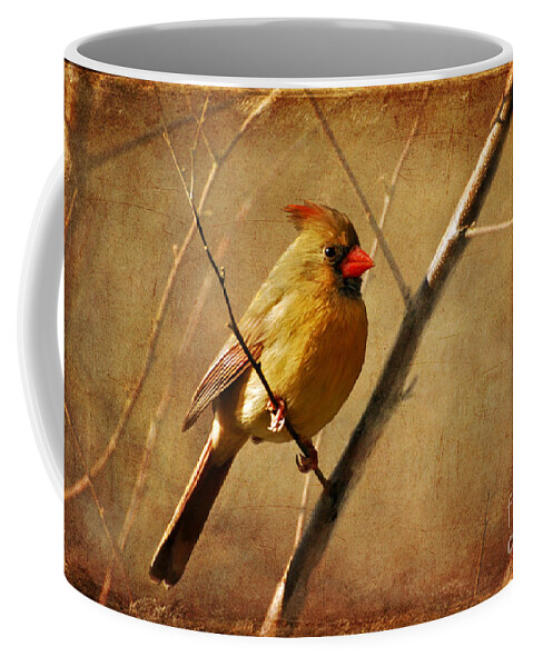 Bird Coffee Mug featuring the photograph The Little Mrs. by Lois Bryan