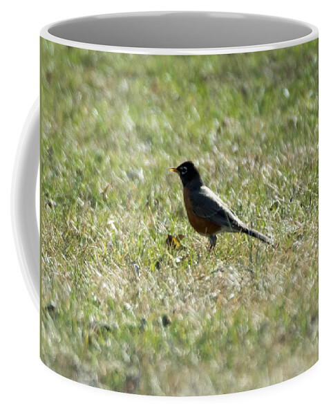 American Robin Coffee Mug featuring the photograph The Lone Robin by Holden The Moment
