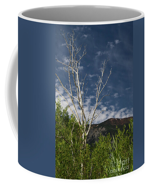 Sky Coffee Mug featuring the photograph The Lonely Aspen by Brandon Bonafede