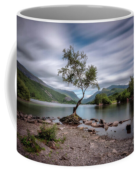 Llyn Padarn Coffee Mug featuring the photograph The lonely tree at Llyn Padarn lake - Part 1 by Mariusz Talarek