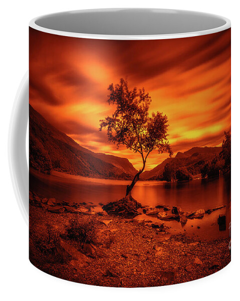 Llyn Padarn Coffee Mug featuring the photograph The lonely tree at Llyn Padarn lake - Part 3 by Mariusz Talarek