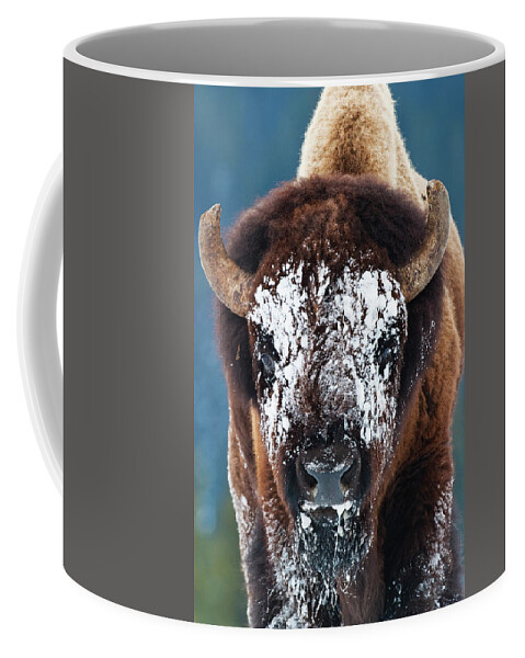 Wild Bison Coffee Mug featuring the photograph The Masked Bison by Mark Miller