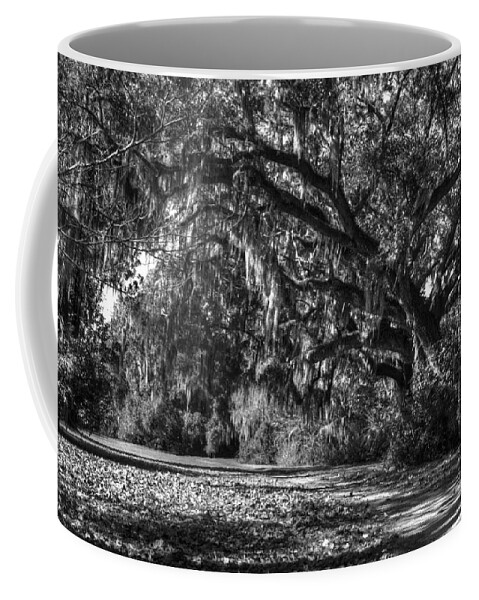 Beauty Coffee Mug featuring the photograph The Mighty Oaks 1 bw by Dimitry Papkov