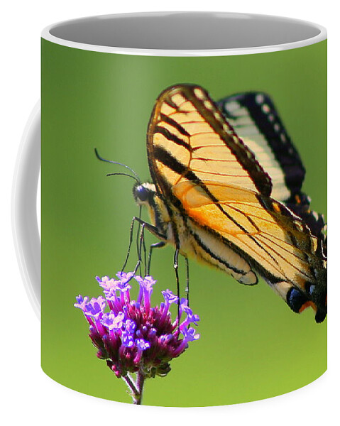 Monarch Butterfly Coffee Mug featuring the photograph The Monarch by Imagery-at- Work