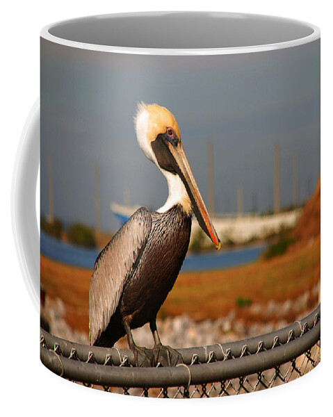 Pelican Coffee Mug featuring the photograph The most beautiful Pelican by Susanne Van Hulst