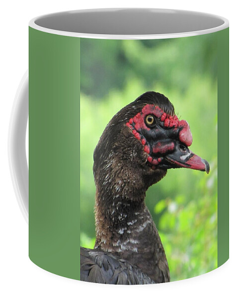 Muscovy Duck Coffee Mug featuring the photograph The Muscovy Duck by Maciek Froncisz