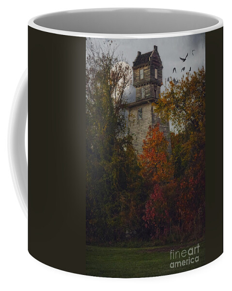 (bird Or Birds) Coffee Mug featuring the photograph The Mysterious Oakhurst Water Tower by Debra Fedchin