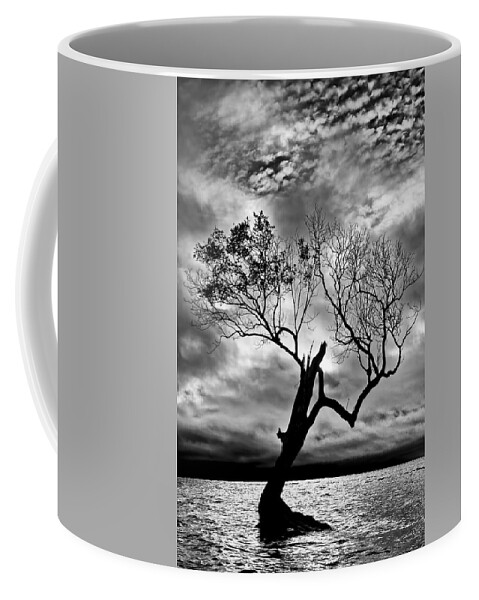 2015 Coffee Mug featuring the photograph The Old Mangrove tree in the Sea by Robert Charity