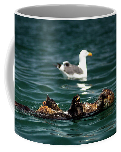 Nature Coffee Mug featuring the photograph The Otter and The Mooch 3 by Denise Dube