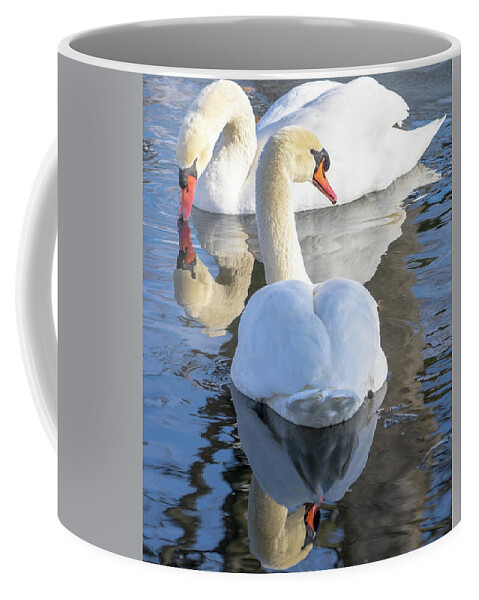 Swans Coffee Mug featuring the photograph The Pair by Cathy Donohoue