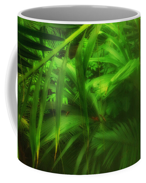 Connie Handscomb Coffee Mug featuring the photograph The Palm Forest by Connie Handscomb