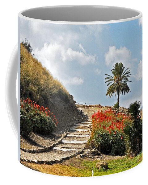 Archeology Coffee Mug featuring the photograph The Path That Leads To The Past by Lydia Holly