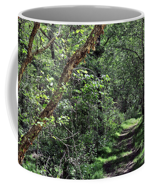 Trees. Path Coffee Mug featuring the photograph The Path We Walked by Lydia Holly