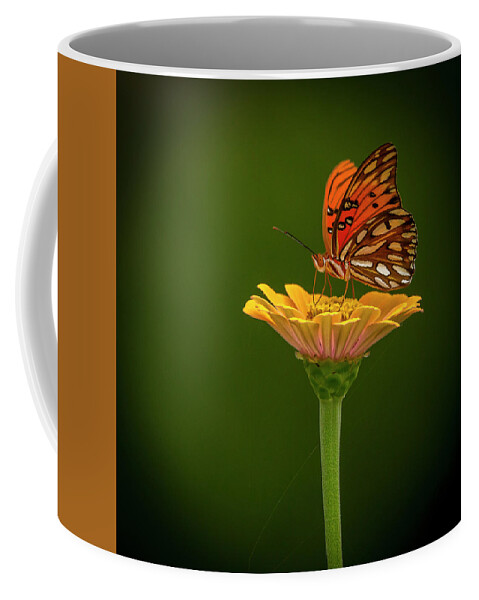 Swr Coffee Mug featuring the photograph The Pause by Ray Silva