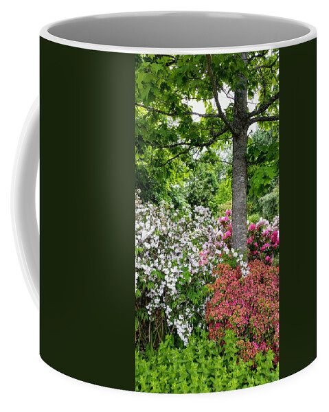 Botanical Flower's Nature Coffee Mug featuring the photograph The peaceful place 8 by Valerie Josi