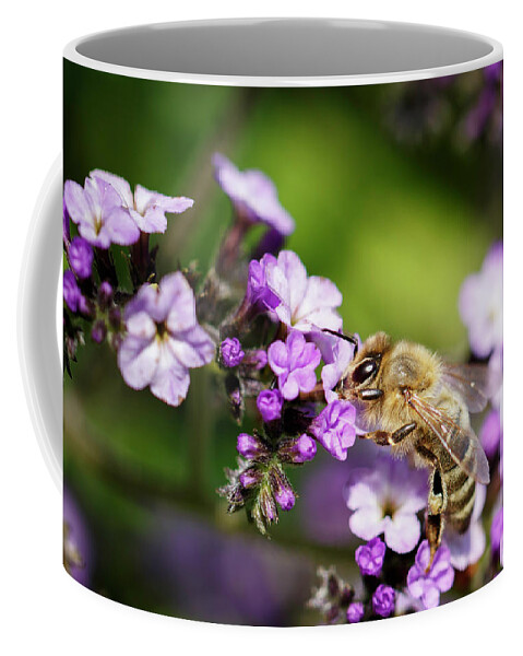 Bee Coffee Mug featuring the photograph The Pollinator by Rick Deacon