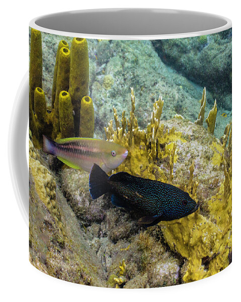 Ocean Coffee Mug featuring the photograph The Princess and the Grouper by Lynne Browne