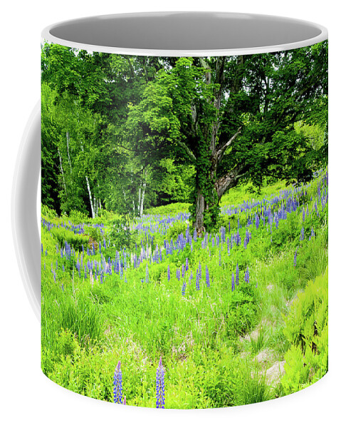 Franconia Notch Coffee Mug featuring the photograph The Protector by Greg Fortier